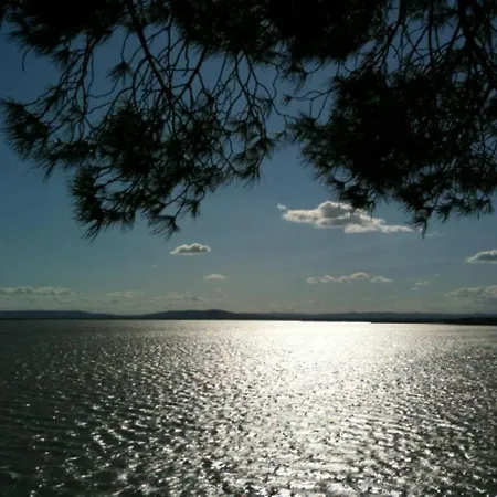 Design With Panoramic Pond View And Jacuzzi Villa Pérols