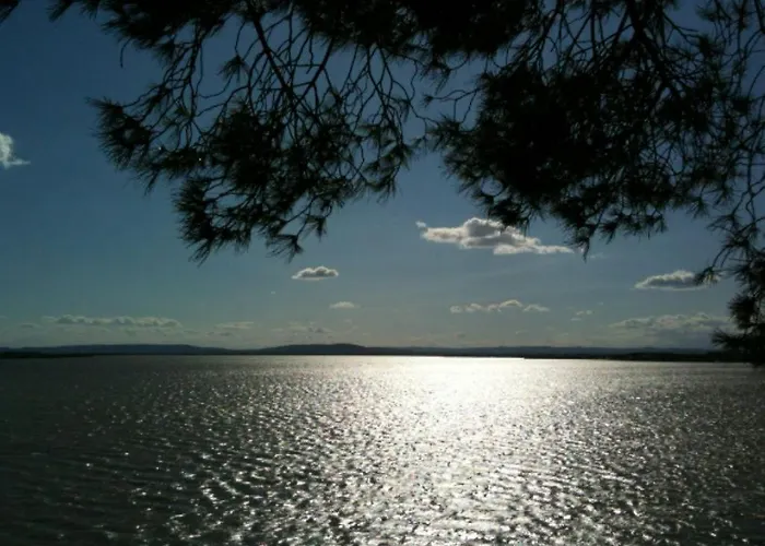 Design With Panoramic Pond View And Jacuzzi 别墅 Pérols