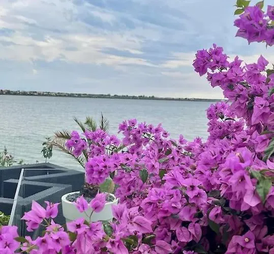 别墅 Design With Panoramic Pond View And Jacuzzi